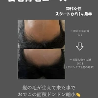 画像445