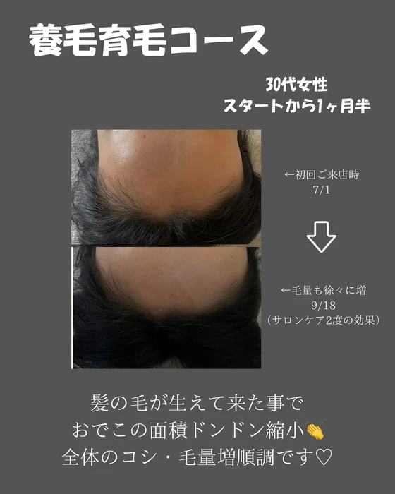 画像445