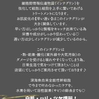 画像448