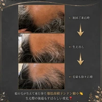 画像846